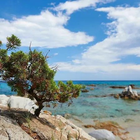 아파트 Santeria Modern Loft *