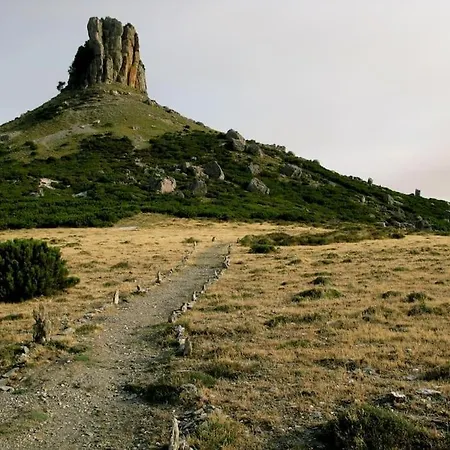 Santeria Modern Loft *