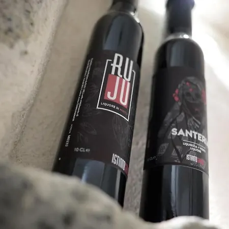 Santeria Modern Loft *